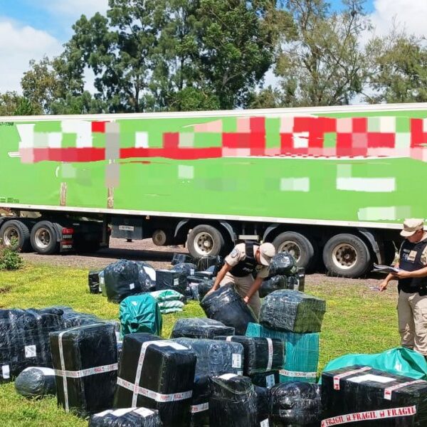 Prefectura incautó más de 30 kilos de hojas de coca ocultos en encomiendas