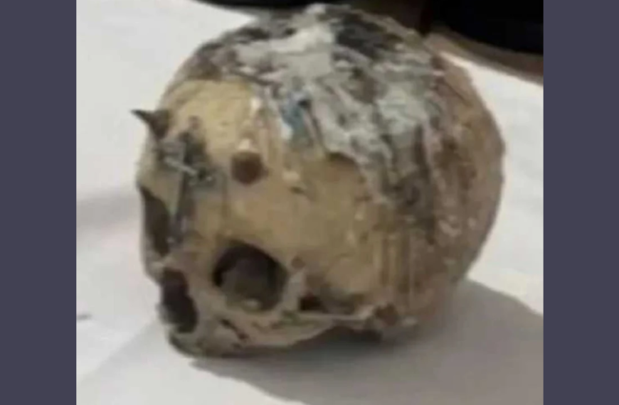 Impactante hallazgo en Córdoba: Investigan cráneos humanos con posibles fines rituales