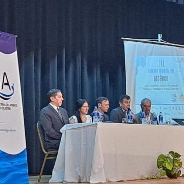 Fernández reunió a especialistas y autoridades para abordar el problema del arsénico en el agua