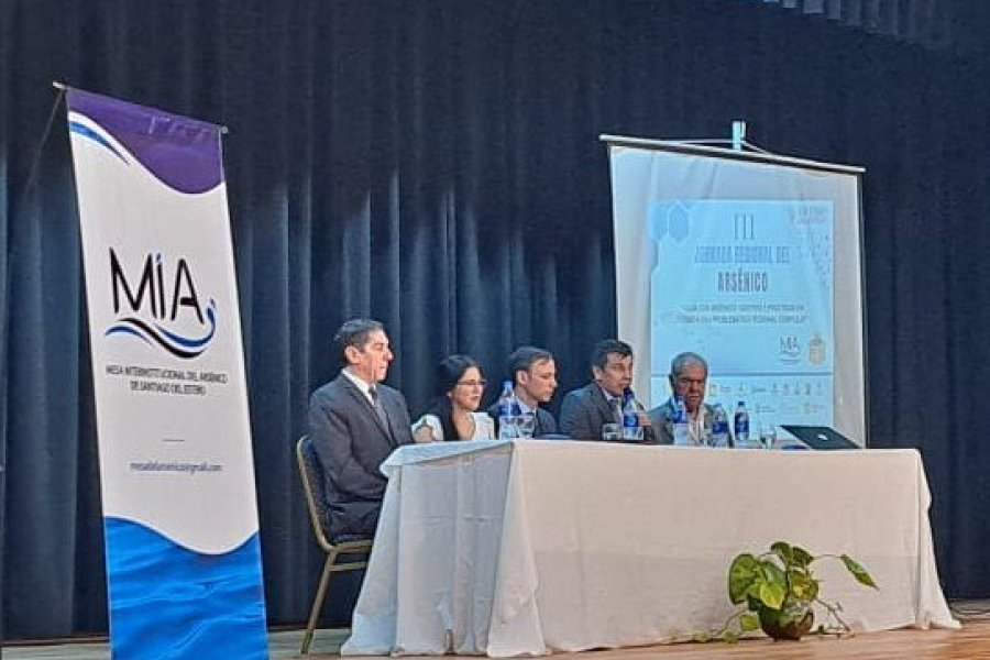 Fernández reunió a especialistas y autoridades para abordar el problema del arsénico en el agua