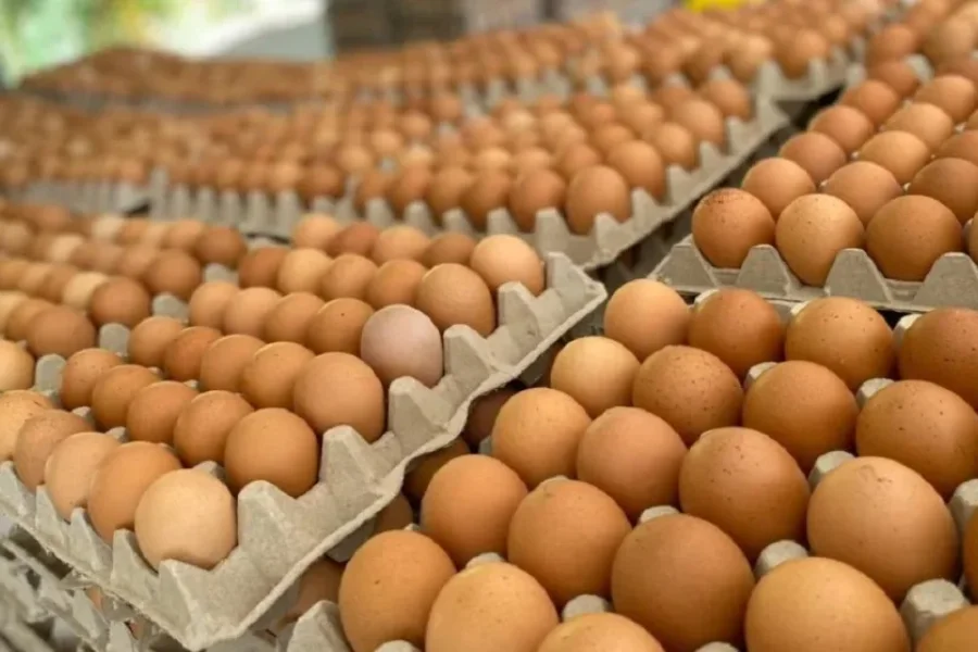 Argentina lidera el consumo mundial de huevos y el sector avícola no deja de crecer