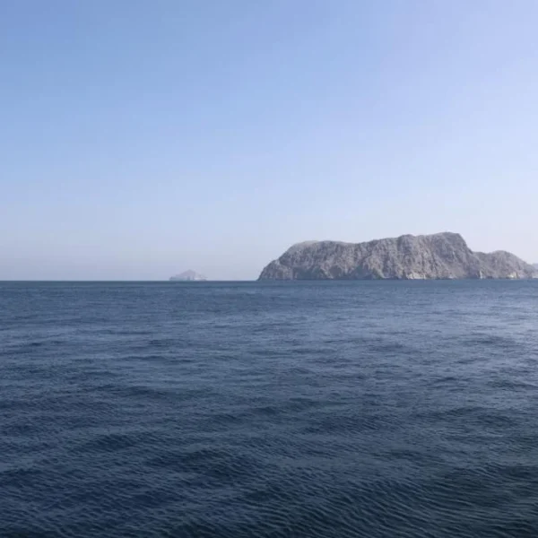 Irán eximirá a “los países amigos” del pago de peajes en el estrecho de Ormuz