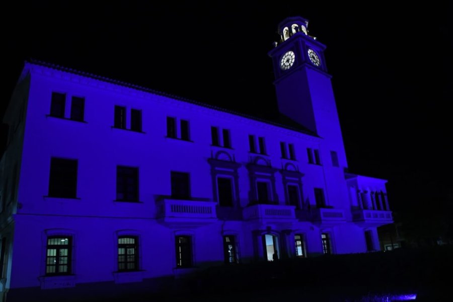 La Casa de Gobierno se tiñó de azul para visibilizar el autismo y promover la inclusión