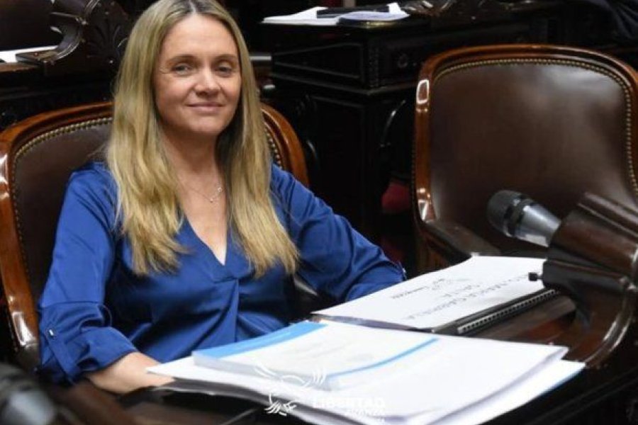 Polémica en La Libertad Avanza: Diputada admitió que su hijo usa pasajes oficiales Polémica en La Libertad Avanza: Diputada admitió que su hijo usa pasajes oficiales