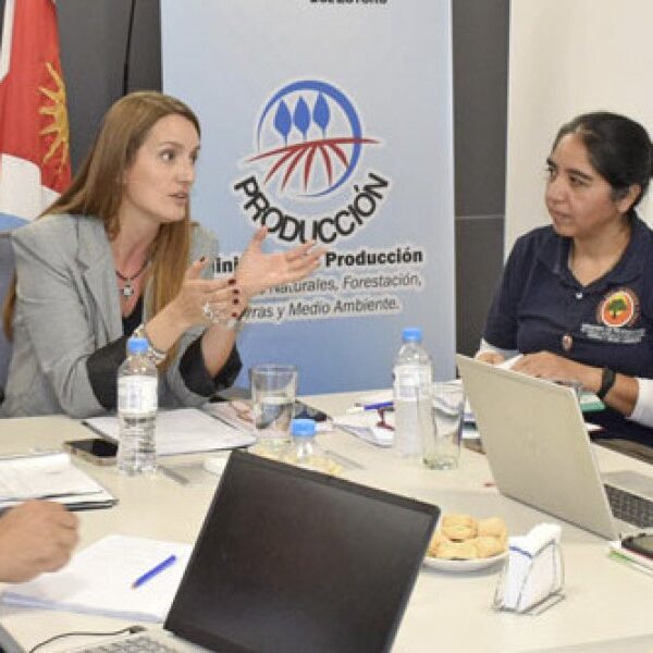 Fortalecen el Comité de Manejo de Bosques con Ganadería Integrada en el Ministerio de Producción