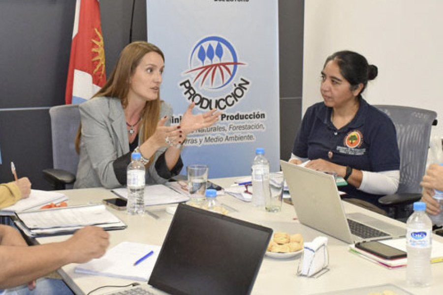 Fortalecen el Comité de Manejo de Bosques con Ganadería Integrada en el Ministerio de Producción