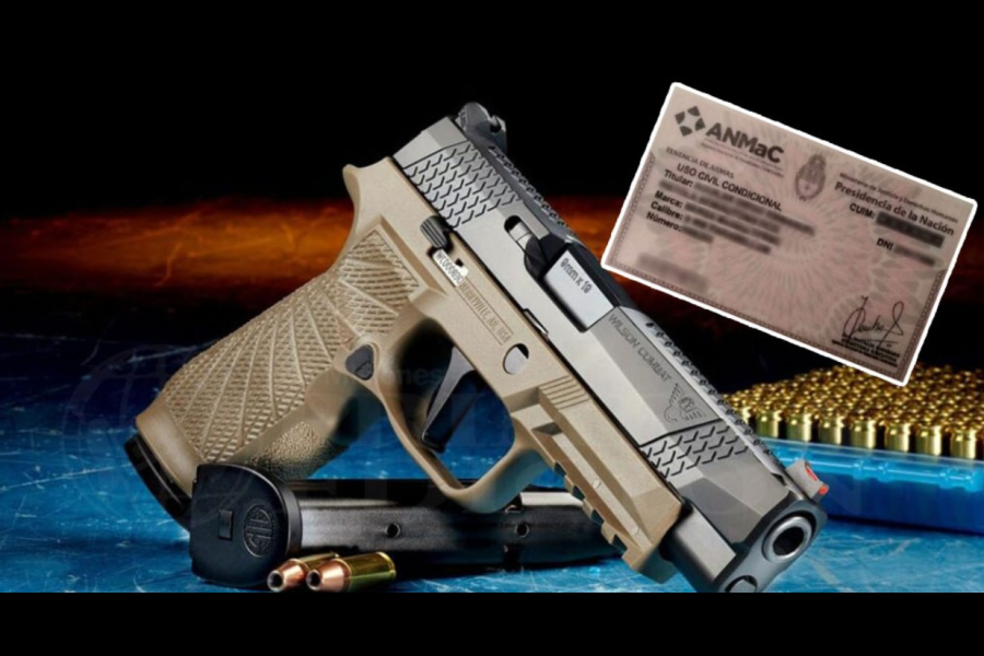 El Senado analiza un proyecto para regularizar la tenencia de armas y extender el plan de desarme voluntario