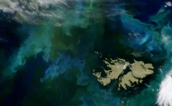 Malvinas: Argentina respaldó a Bolivia tras un cruce con el Reino Unido y reiteró el reclamo por negociaciones