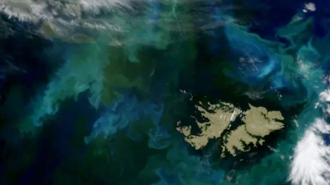 Malvinas: Argentina respaldó a Bolivia tras un cruce con el Reino Unido y reiteró el reclamo por negociaciones Malvinas: Argentina respaldó a Bolivia tras un cruce con el Reino Unido y reiteró el reclamo por negociaciones