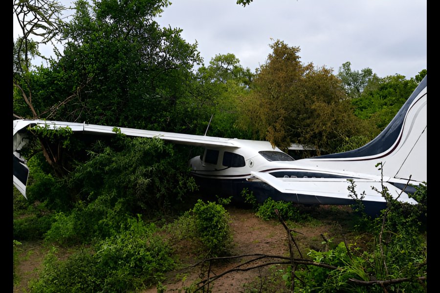 Misterio por una avioneta que cayó de forma abrupta en el medio del monte