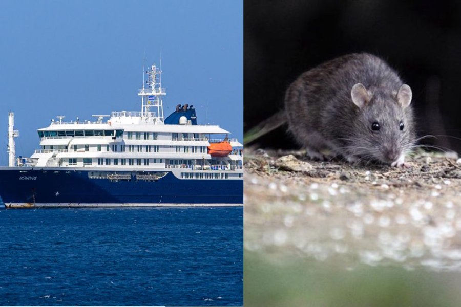 Crece la alerta por hantavirus en Argentina tras el brote fatal en el crucero