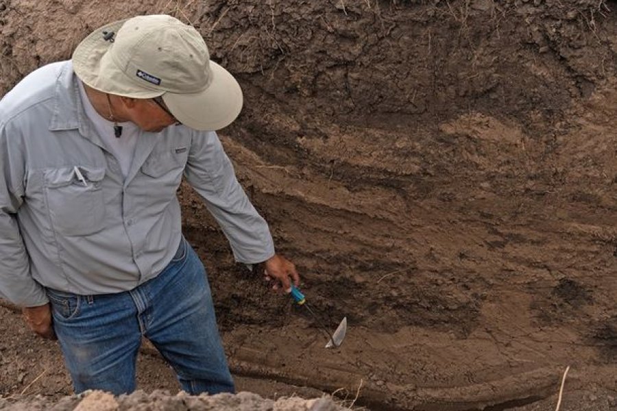 Identifican nuevos restos humanos hallados en fosas clandestinas