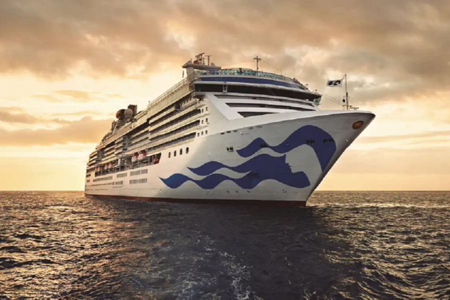 Brote de norovirus en el Caribe: Más de 100 afectados en un crucero de Princess Cruises