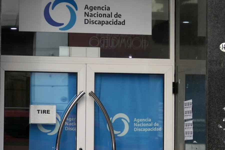 Escándalo en ANDIS: Auditoría detecta sobreprecios de hasta el 4000% en insumos ortopédicos
