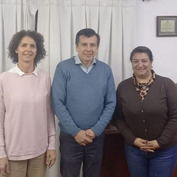 Acciones conjuntas para fortalecer la educacion y la formacion academica