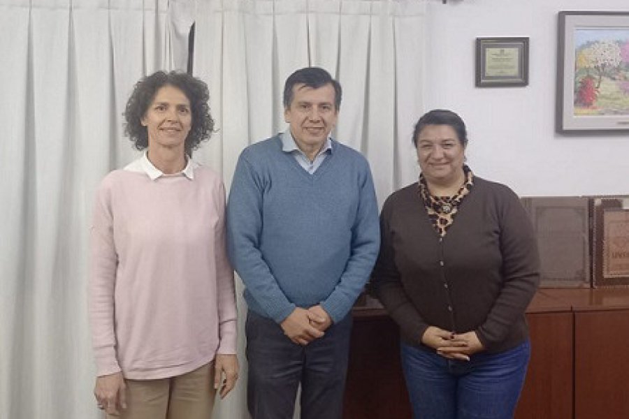Acciones conjuntas para fortalecer la educacion y la formacion academica