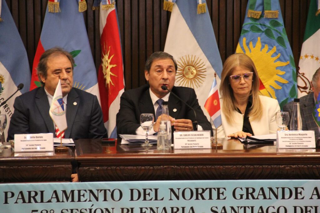 Silva Neder: “Sin Norte Grande no hay Nación, porque el federalismo no se declama, sino se ejerce con presupuesto, con obra y con trabajo”