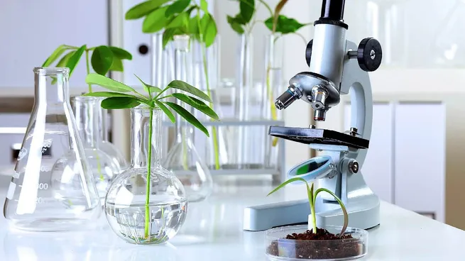 El Gobierno nacional derogó las restricciones vigentes desde hace una década para el patentamiento de desarrollos biotecnológicos