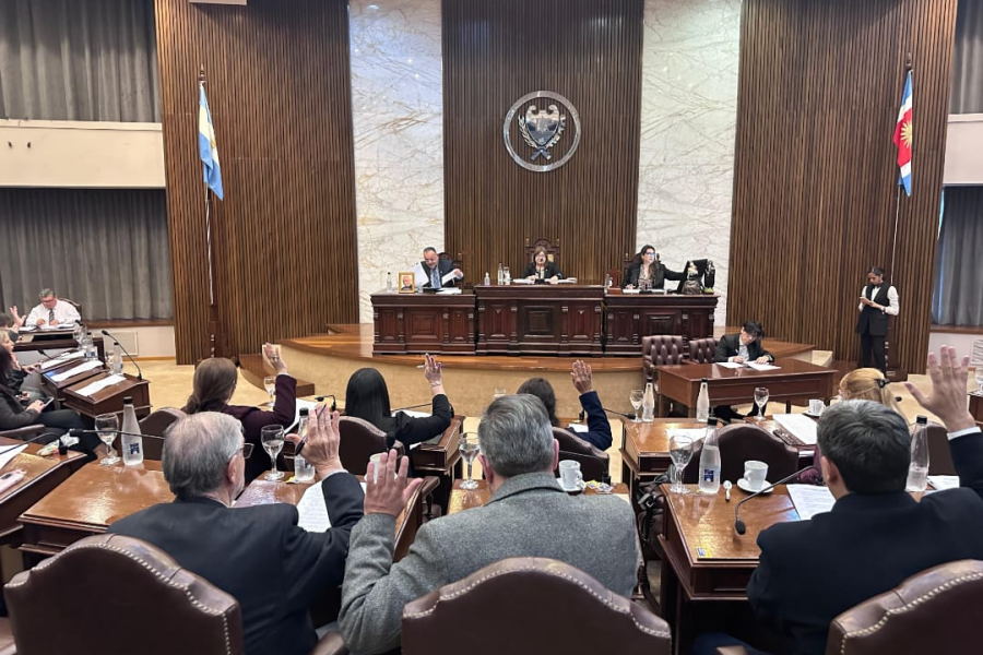 La Cámara de Diputados de Santiago del Estero respaldó los convenios productivos celebrados con el CFI y conmemoró la lucha contra la violencia de género