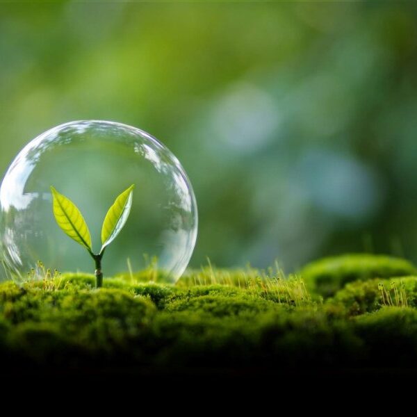 El Día Mundial del Medio Ambiente encabeza las efemérides globales en una jornada que coincide con el nacimiento de Federico García Lorca