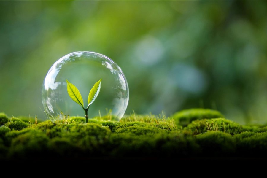 El Día Mundial del Medio Ambiente encabeza las efemérides globales en una jornada que coincide con el nacimiento de Federico García Lorca