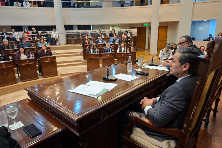 Respaldo legislativo a la política económica provincial y aprobación de múltiples declaraciones de interés en la Cámara de Diputados Respaldo legislativo a la política económica provincial y aprobación de múltiples declaraciones de interés en la Cámara de Diputados
