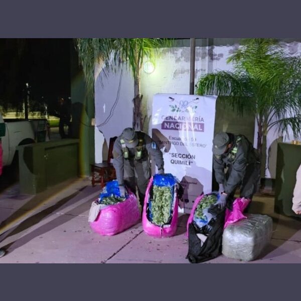 Gendarmería Nacional incautó más de 700 kilos de hojas de coca en un ómnibus de pasajeros en la Ruta Provincial 92