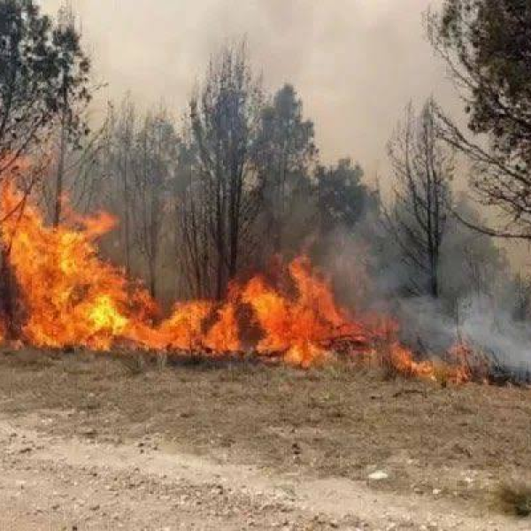 Incendio forestal en Cafayate afectó cerca de 200 hectáreas y los equipos de emergencia prevén semanas de trabajos para su control definitivo