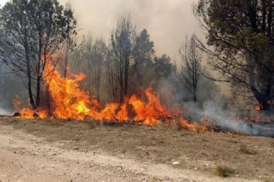 Incendio forestal en Cafayate afectó cerca de 200 hectáreas y los equipos de emergencia prevén semanas de trabajos para su control definitivo Incendio forestal en Cafayate afectó cerca de 200 hectáreas y los equipos de emergencia prevén semanas de trabajos para su control definitivo