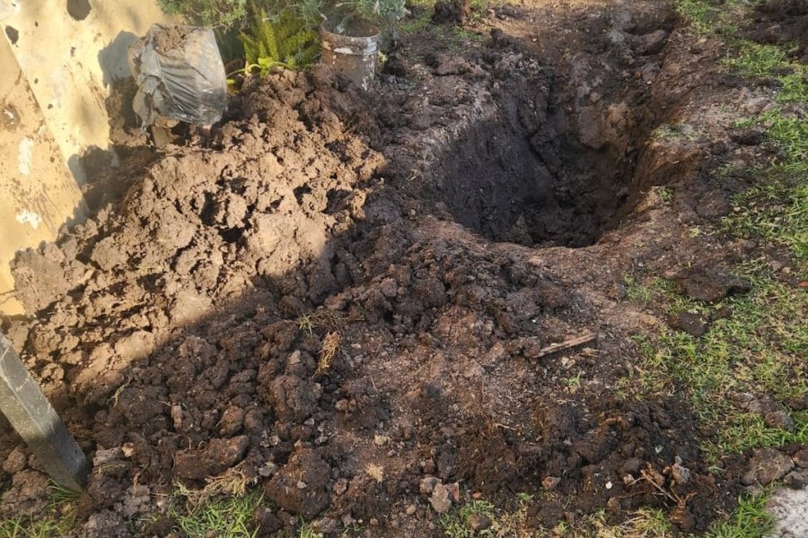 La fiscalía de Morón ordenó un allanamiento de urgencia que derivó en el hallazgo del cadáver de Graciela Martínez oculto en una bolsa de residuos