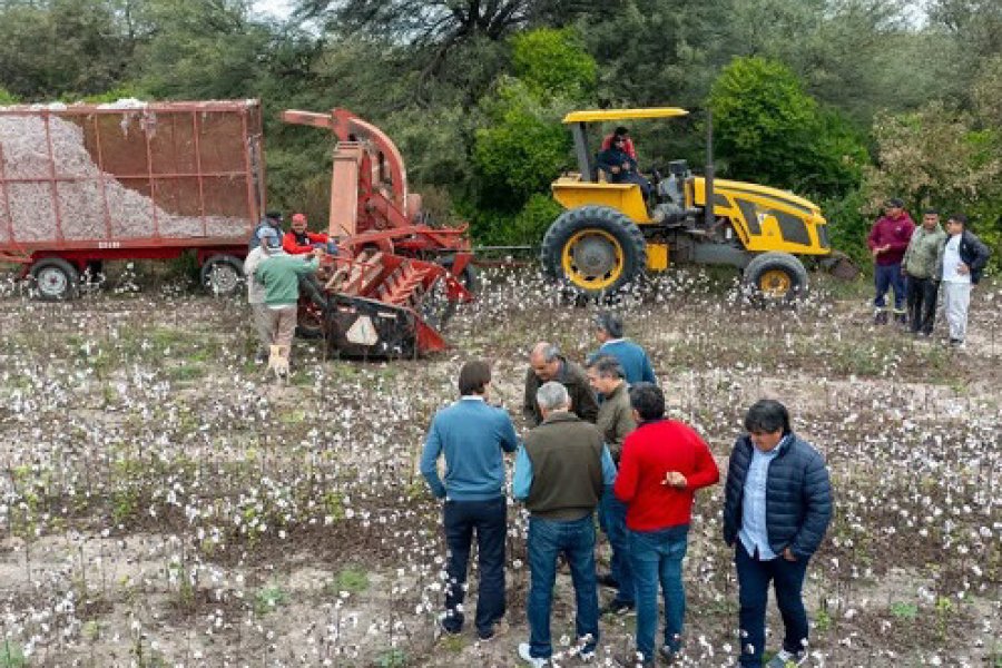 El ingeniero Néstor Machado coordinó las actividades en Campo Gallo, completando un circuito de visitas técnicas destinadas a descentralizar los servicios estatales
