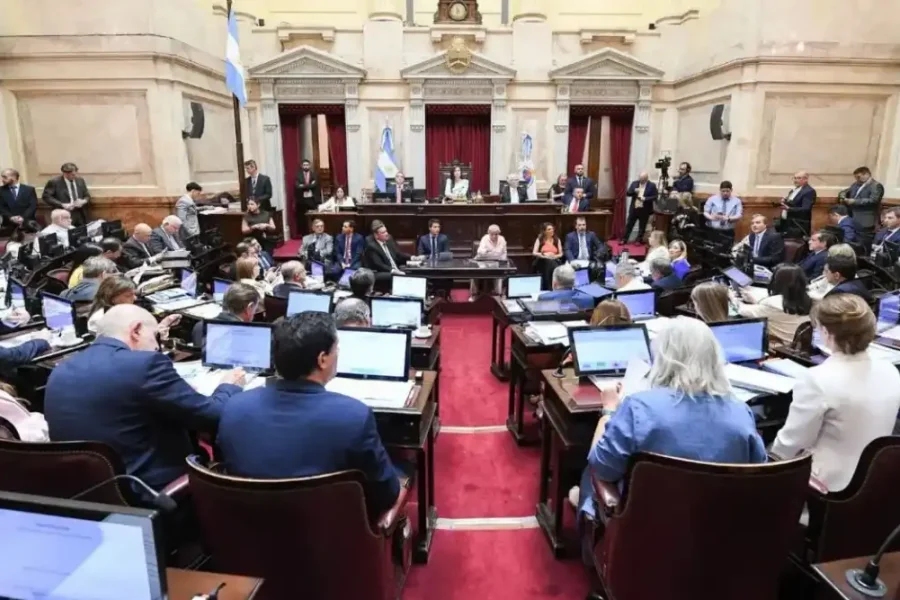 Una nueva actualización salarial llevará la dieta de los senadores nacionales a casi $12 millones en agosto Una nueva actualización salarial llevará la dieta de los senadores nacionales a casi $12 millones en agosto
