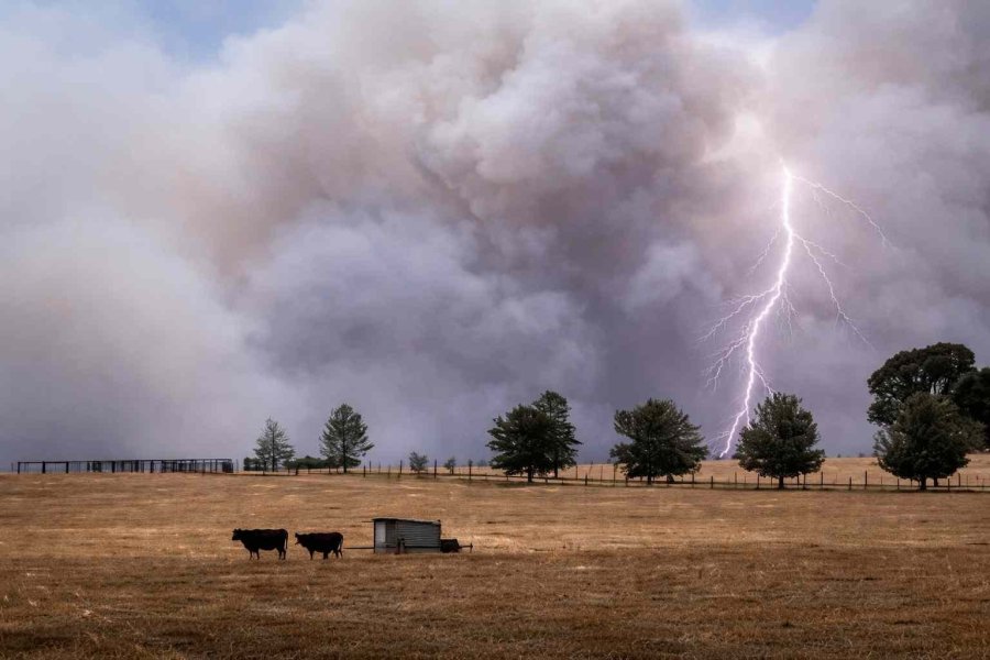 Fuerte alerta mundial por El Niño y el duro pronóstico de la ONU para la Argentina Fuerte alerta mundial por El Niño y el duro pronóstico de la ONU para la Argentina