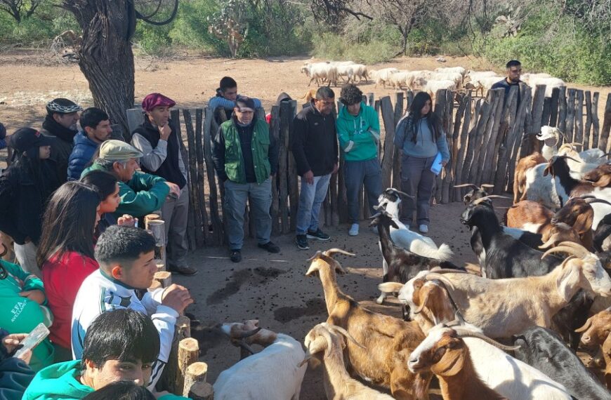 Añatuya será sede de las 4° Jornadas de Ganadería Caprina Agroecológica del NOA