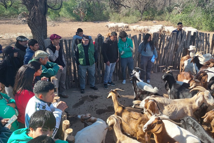 Añatuya será sede de las 4° Jornadas de Ganadería Caprina Agroecológica del NOA Añatuya será sede de las 4° Jornadas de Ganadería Caprina Agroecológica del NOA