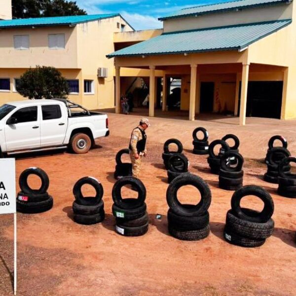Prefectura secuestró neumáticos de origen extranjero valuados en más de $44 millones en Pozo Hondo