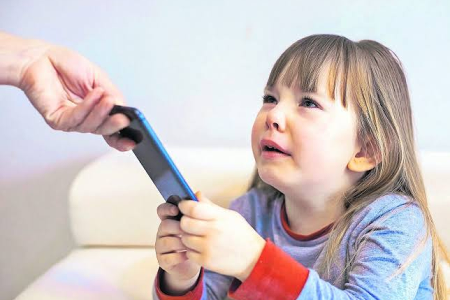 Especialista propone un reseteo digital para equilibrar el uso de pantallas en la infancia Especialista propone un reseteo digital para equilibrar el uso de pantallas en la infancia