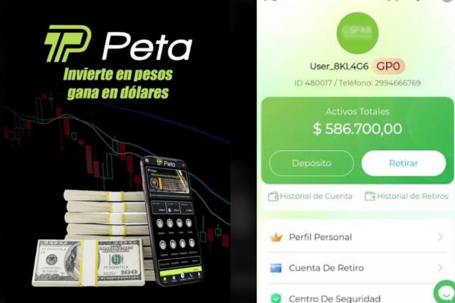 Recomendaciones técnicas para la identificación temprana de fraudes virtuales y esquemas Ponzi