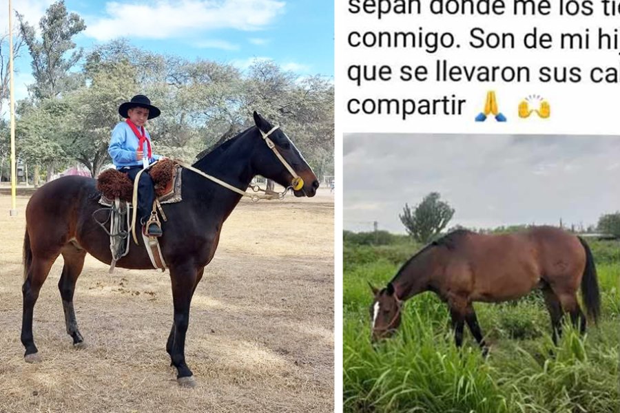 Robaron el caballo de un niño en la localidad de El Zanjón y la familia solicita colaboración policial y comunitaria para su localización