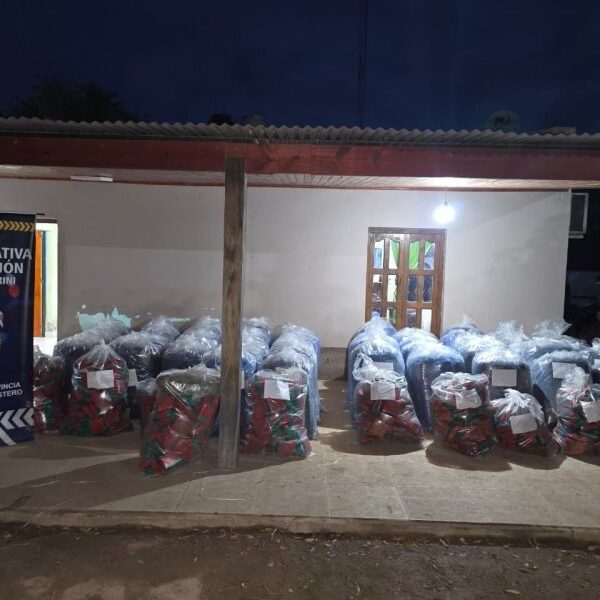 Dos camionetas, tres detenidos y 1.415 kilos de hoja de coca: el operativo en la Ruta 4 que apunta a una misma organización