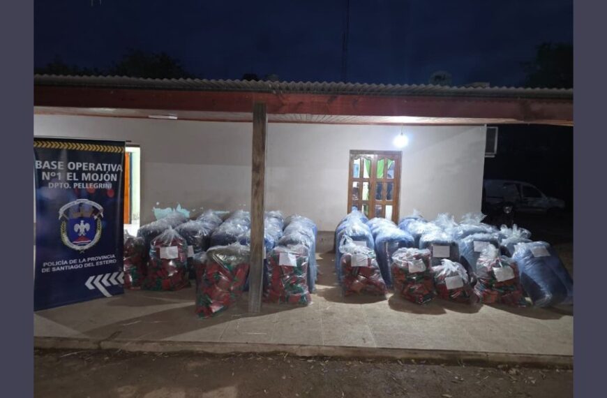 Dos camionetas, tres detenidos y 1.415 kilos de hoja de coca: el operativo en la Ruta 4 que apunta a una misma organización