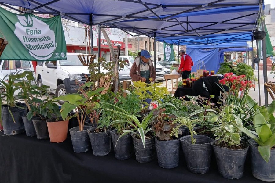 Reciclá y llevate un plantín: La Feria Itinerante de Las Termas cumple seis años con desayuno de campo y sorteos
